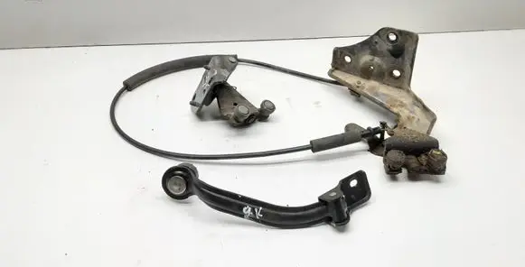 Citroen Berlingo Rear door hinge set 