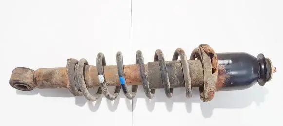 Rear shock absorber/damper