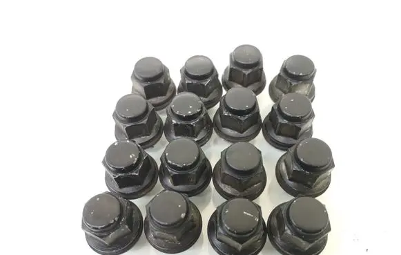 Nuts/bolts