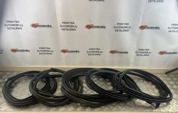 Toyota RAV 4 (XA50) Front door rubber seal