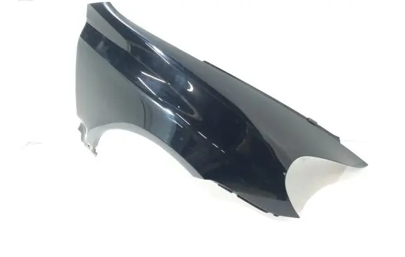 Porsche Cayenne (9PA) Fender