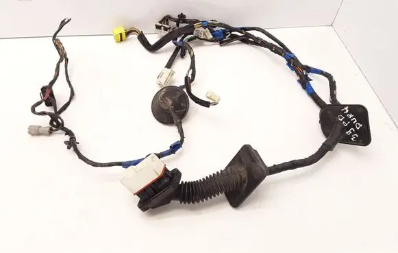 Front door wiring loom