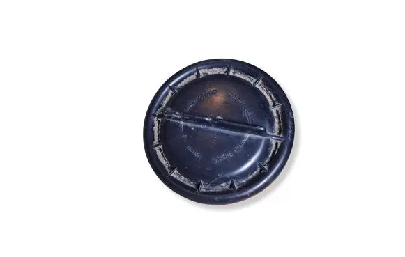 Opel Insignia A Headlight/headlamp dust cover 304401125N2