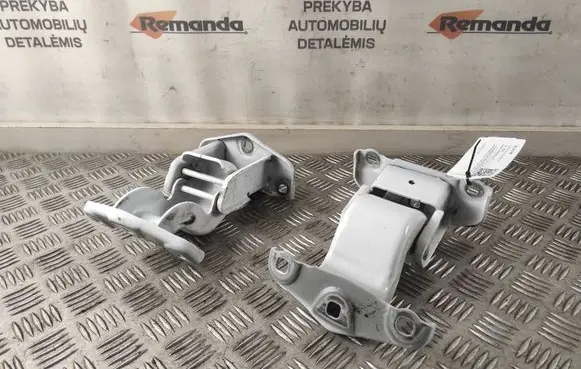 Renault Trafic III (X82) Rear door hinge set 93458937 93458938