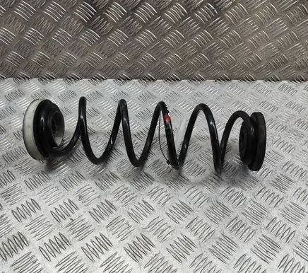 Nissan Qashqai J12 Rear coil spring 550206UA0B