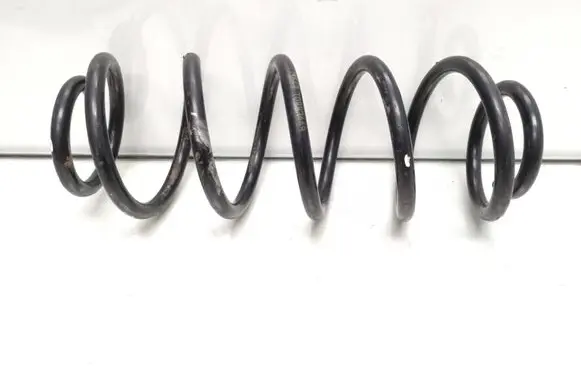 Rear coil spring