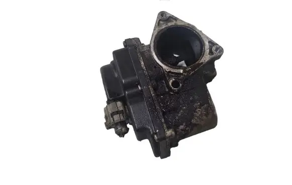 EGR valve