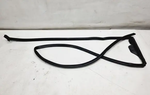 Citroen C5 Aircross Rubber seal rear door 9816902780