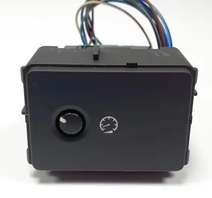 Panel lighting control switch