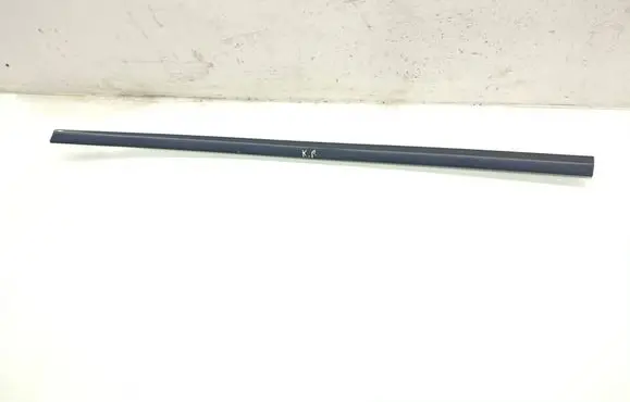 Dodge Grand Caravan Front door trim (molding) 