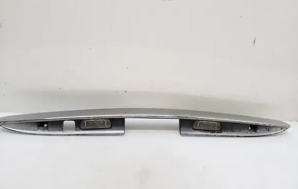 Trunk door license plate light bar