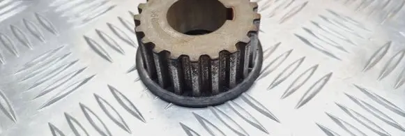 Citroen Jumpy Fuel pump gear (pulley) 