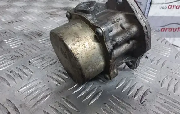 Renault Scenic I Vacuum pump 8200689330 722389300