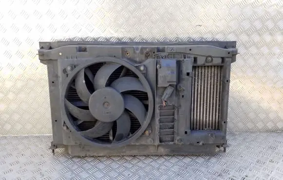 Peugeot 3008 I Radiator support slam panel 9663558880 9674720580 W9084002