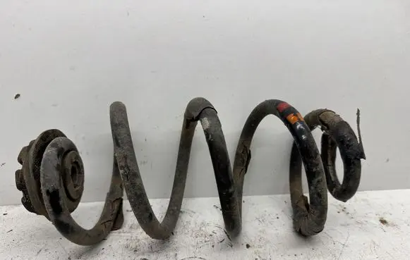 Rear coil spring