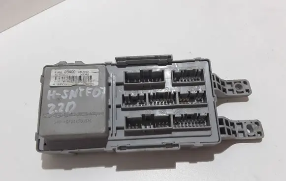 Hyundai Santa Fe Fuse module 919502B400