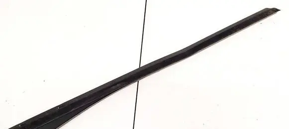 Hyundai Santa Fe Front door glass trim molding