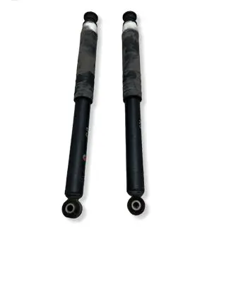 Renault Zoe Rear shock absorber/damper 562108289R