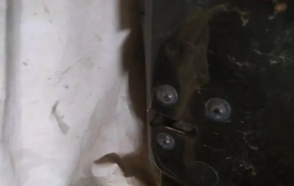 Jeep Grand Cherokee (WK) Front door lock