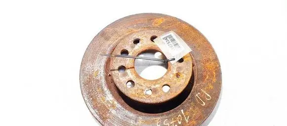 Volkswagen Golf V Front brake disc ventiliuojamas