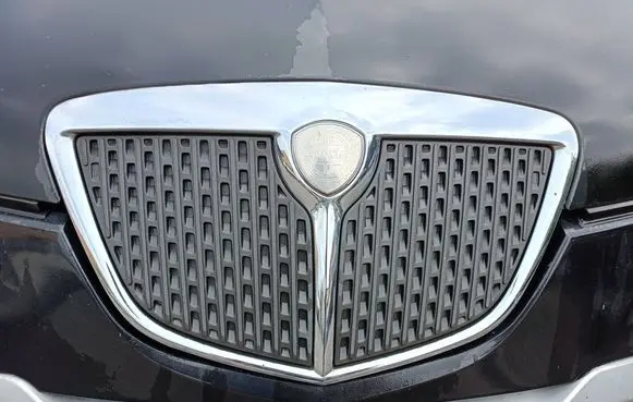 Lancia Ypsilon Front grill