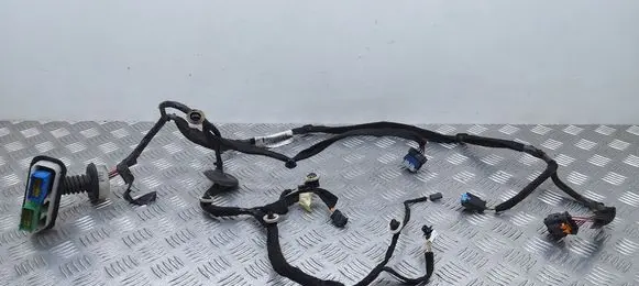 Front door wiring loom