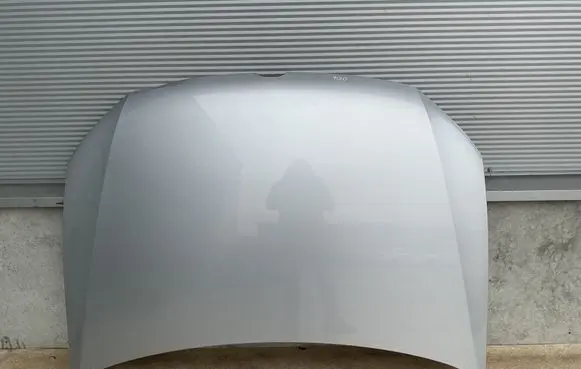 Volkswagen Polo V 6R Engine bonnet/hood 