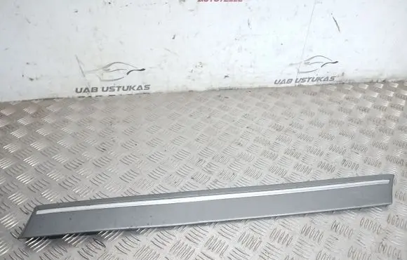 Mitsubishi Galant Rear door trim (molding)