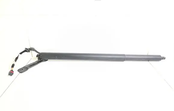 Tailgate/trunk strut/damper