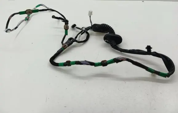Rear door wiring loom
