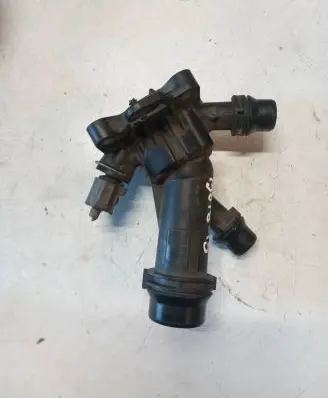 Thermostat/thermostat housing