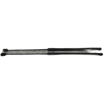 Tailgate strut