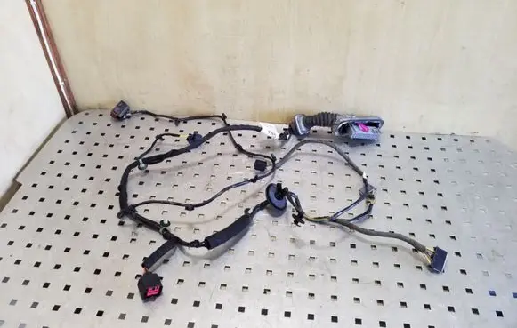 Front door wiring loom