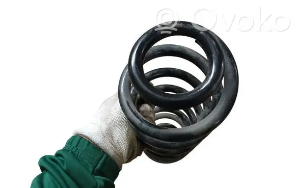 Toyota RAV 4 (XA50) Rear coil spring 