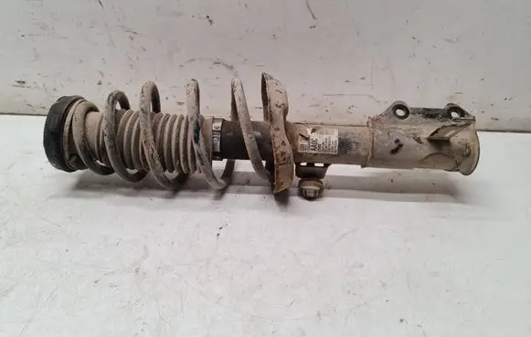 Opel Astra J Front shock absorber with coil spring 13354029 2580 422267257