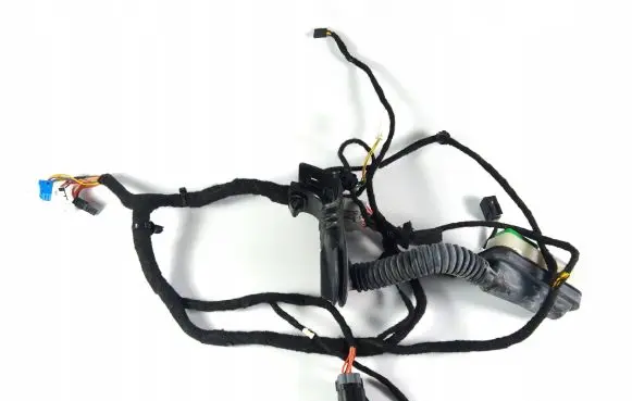 Dodge Charger Front door wiring loom