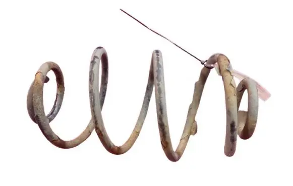 Rear coil spring