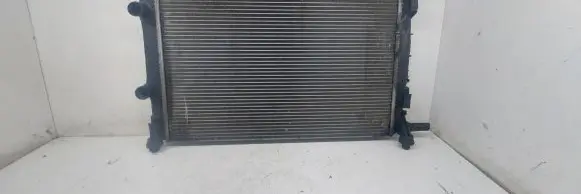 Renault Scenic II - Grand scenic II Coolant radiator 8769630 RA1410