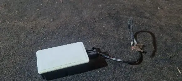 Volvo C30 Door central lock control unit/module 31268992