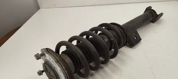 Tesla Model 3 Front shock absorber/damper 104436400E