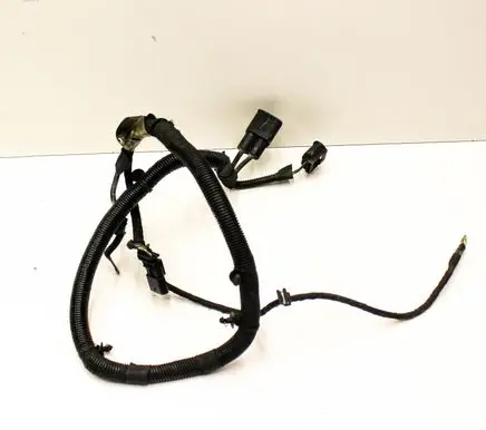 Other wiring loom