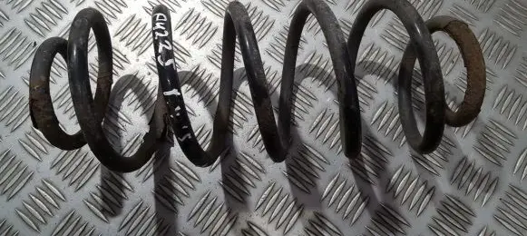 Rear coil spring