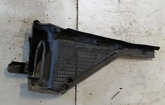 BMW X5 E70 Wiper trim 10834110