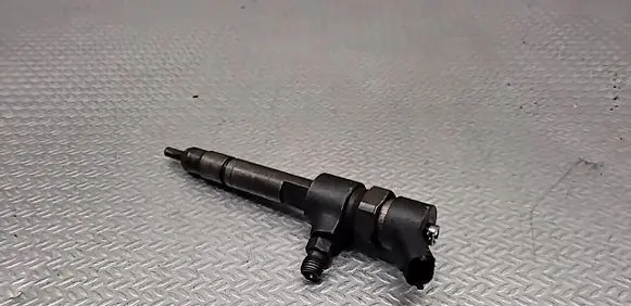 Fiat Punto (188) Fuel injector 0445110019