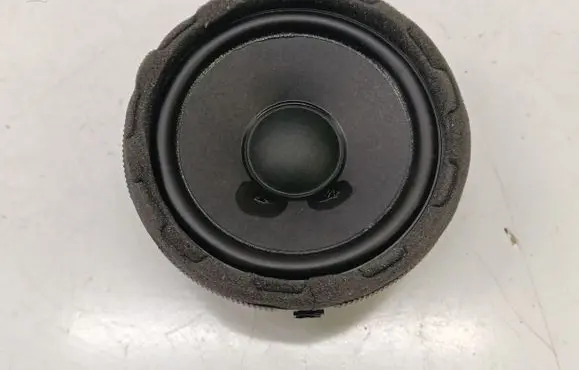 Mercedes-Benz EQE v295 Rear door speaker A2238201500