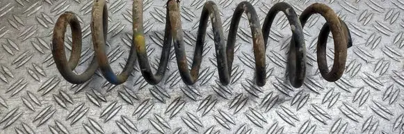 Rear coil spring