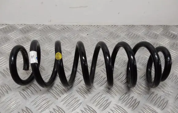 Rear coil spring