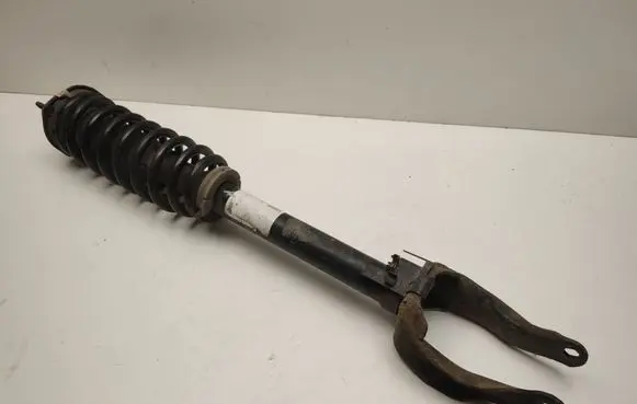 Mercedes-Benz ML W166 Front shock absorber/damper A1663230200