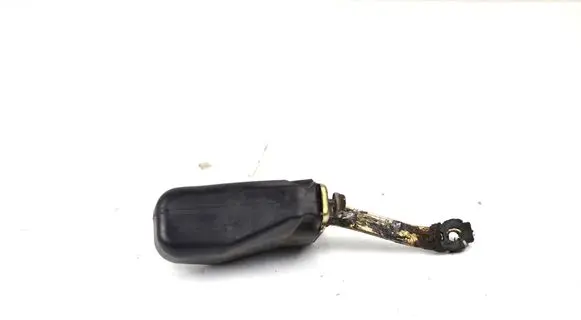 Volkswagen Sharan Rear door check strap stopper 7M0839323 D0NZA