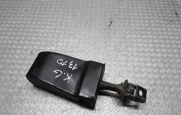 Skoda Roomster (5J) Rear door check strap stopper